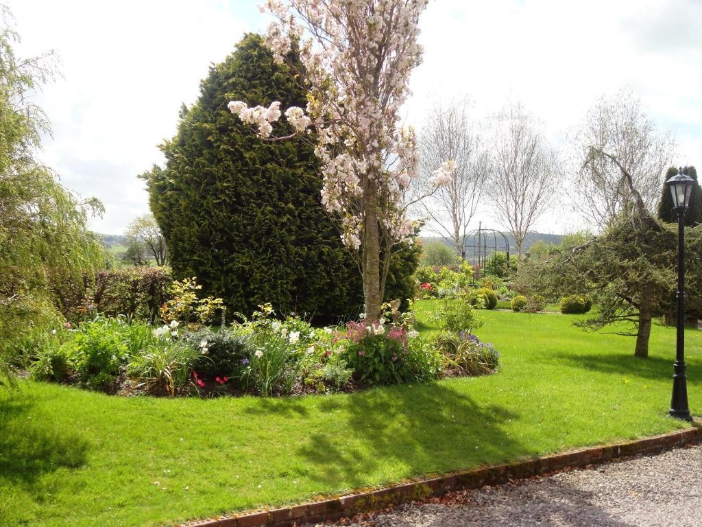 Westwood Country House Blarney Exterior foto